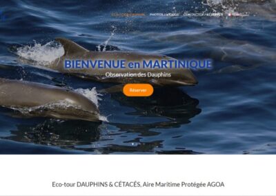 Dauphins Martinique